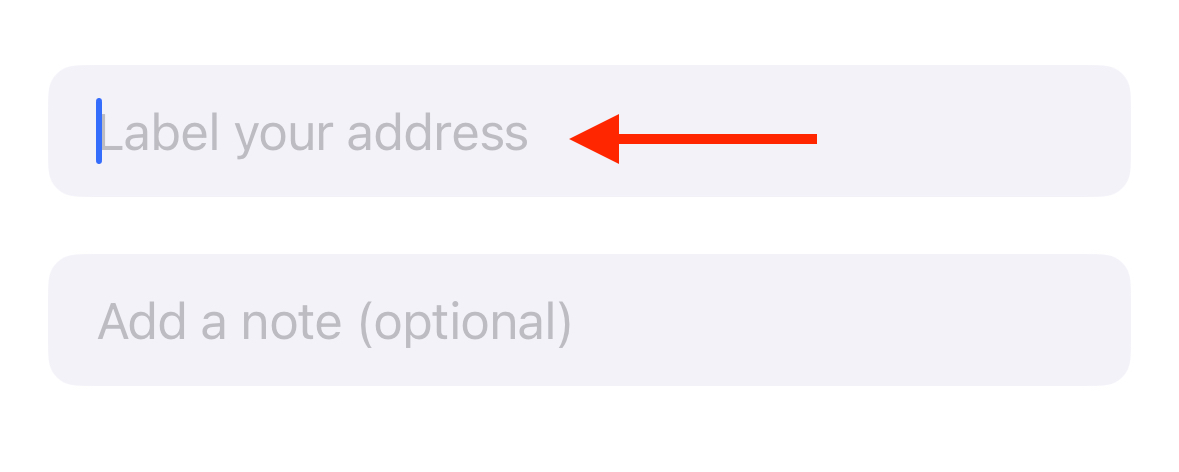 Label Your Address field in Hide My Email settings on iPhone.