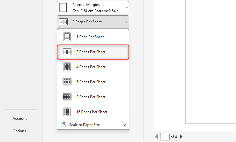 Microsoft Word's printing menu, with the option to print two pages on one sheet selected.