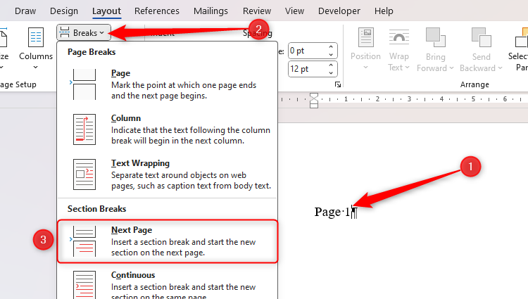 Next Page Section Break is selected in Microsoft Word.