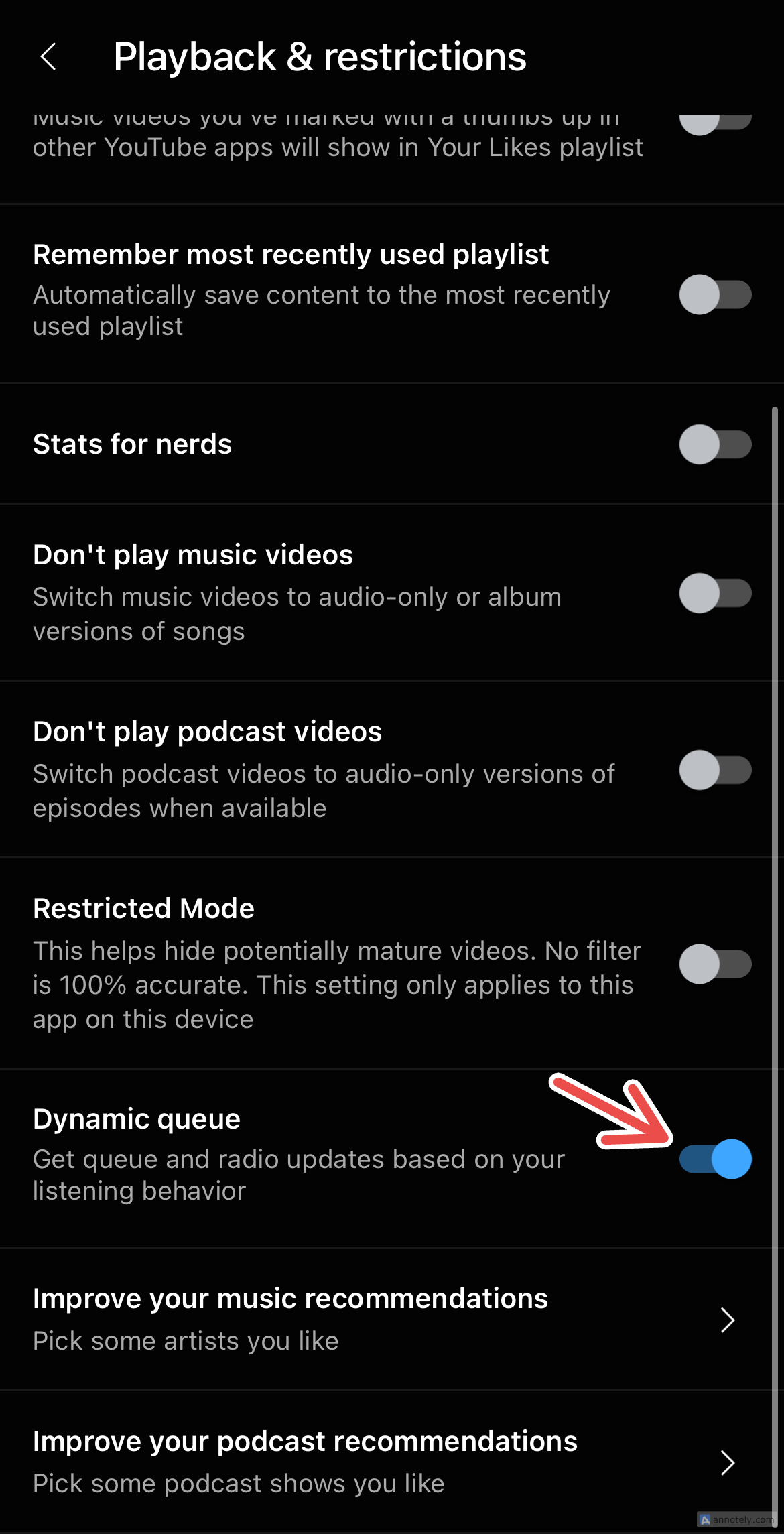 Switching on Dynamic Queue on YouTube Music.