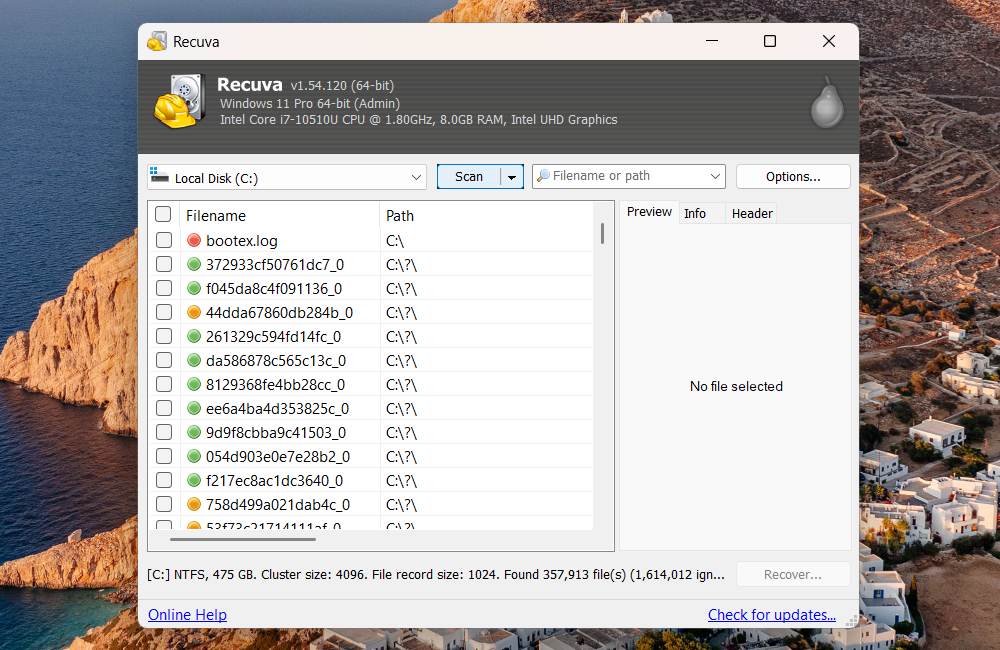 Recuva showing recoverable files on Windows.