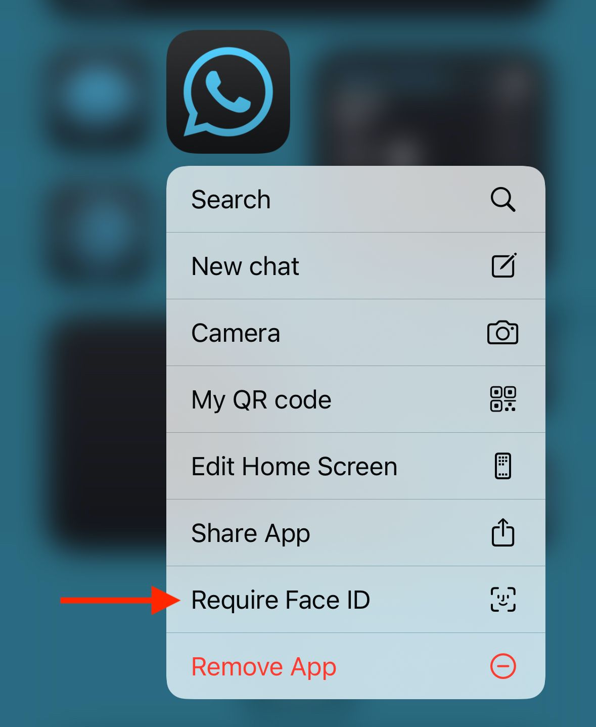 Require Face ID option in menu on iPhone.