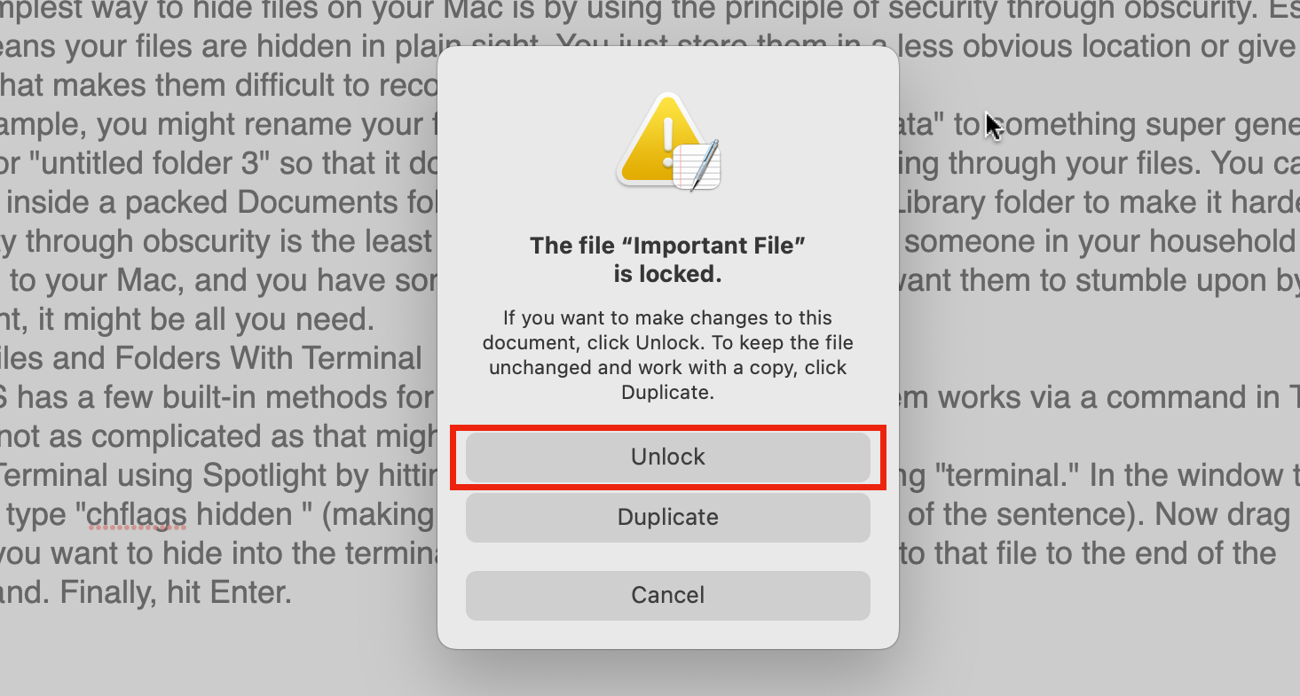 Screen asking you to unlock a file before editing it.