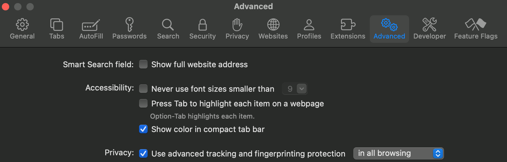 A screenshot of Safari advanced settings.