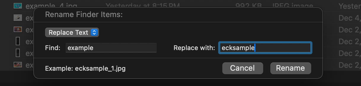 A screenshot of the Replace Text rename function in macOS Finder.