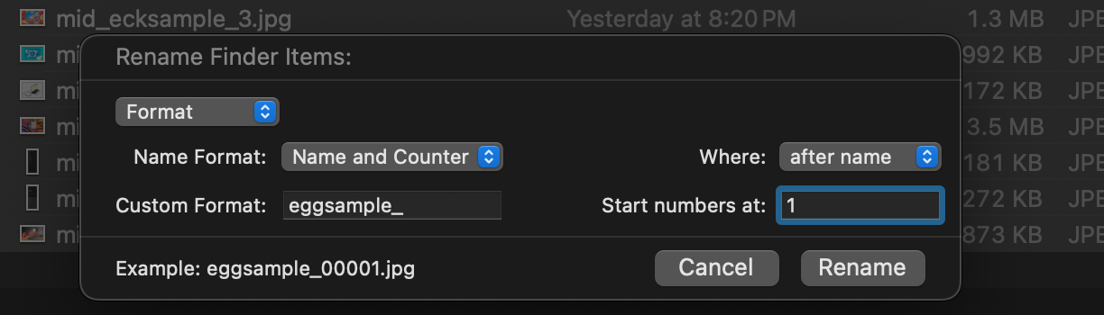 A screenshot of the Format rename function in macOS Finder.