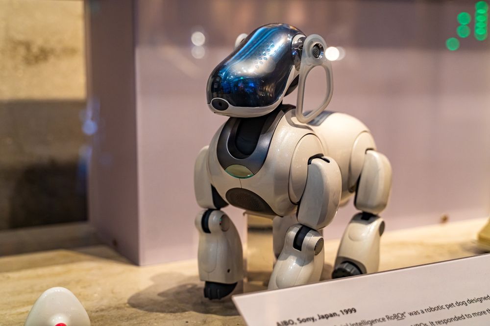 Sony Aibo Robot Dog 1999 at the Computer History Museum.