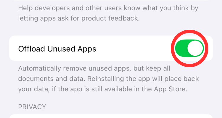 Screenshot of the Offload Unused Apps in the App Store settings menu.