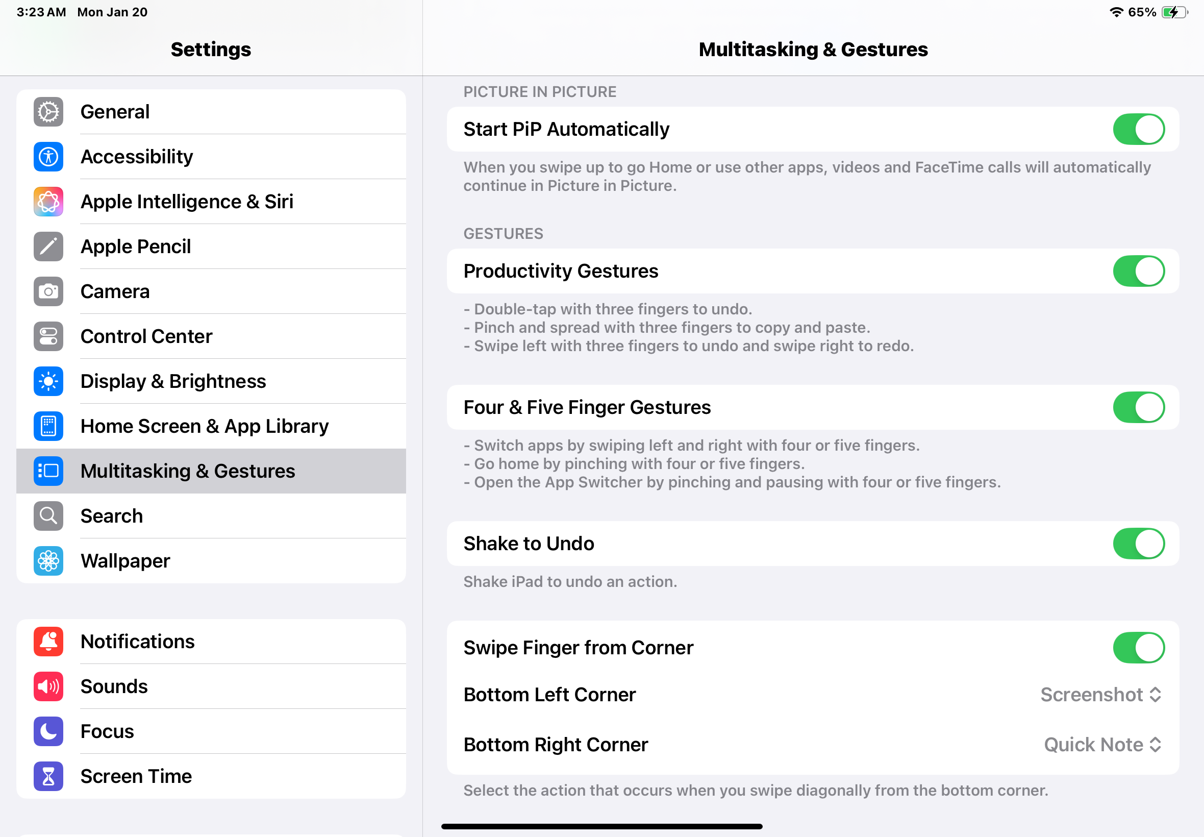 iPad Settings app showing Multitasking & Gestures section showing finger gesture options.