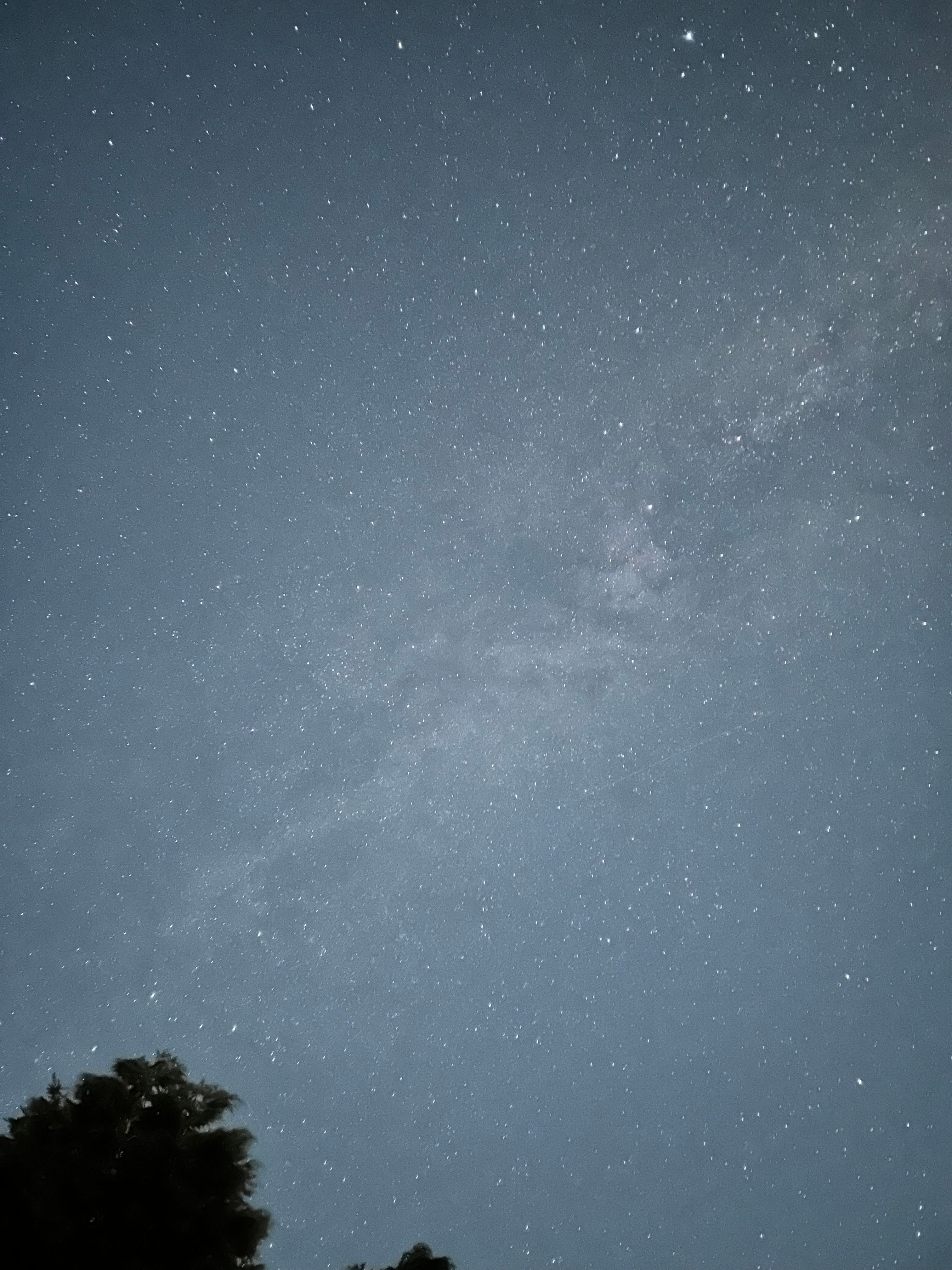 A photograph of the Milky Way galaxy.