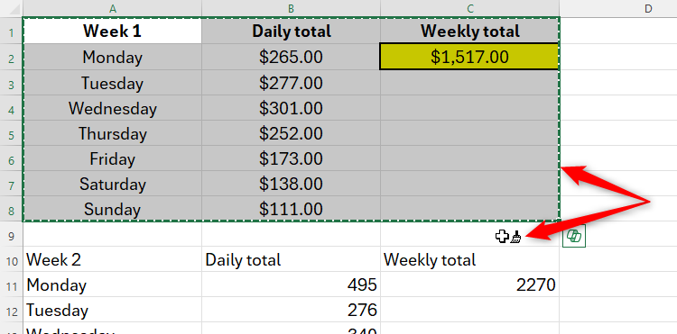 A range of cells in Excel is selected, with the dotted line suggesting it has been copied, and the cursor has adopted the paintbrush icon.