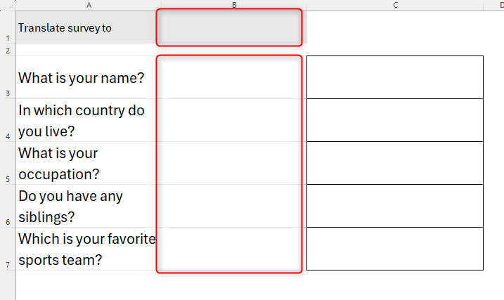 A survey in Microsoft Excel, with spaces where translations of the questions will appear.