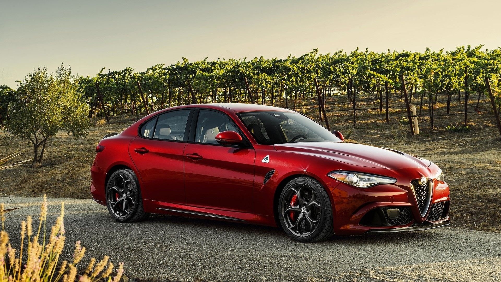 Front 3/4 shot of a 2017 Alfa Romeo Guilia Quadrifoglio 