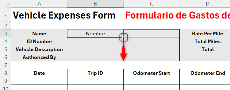 An arrow indicating the direction in which Excel's fill handle should be clicked and dragged from cell B3 to apply the TRANSLATE function to other cells.