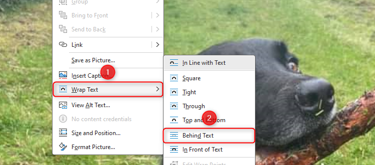 'Behind Text' is selected in the Wrap Text options on an image in Microsoft Word.