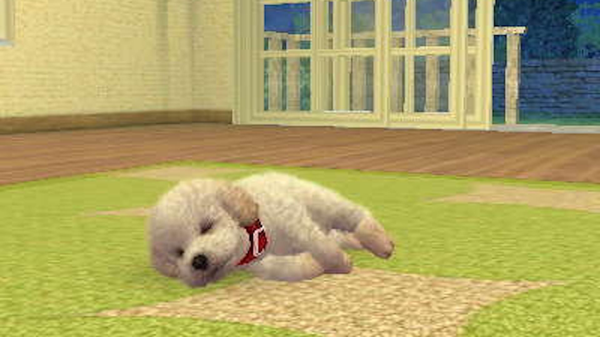 A sleeping dog in a living room in Nintendogs.