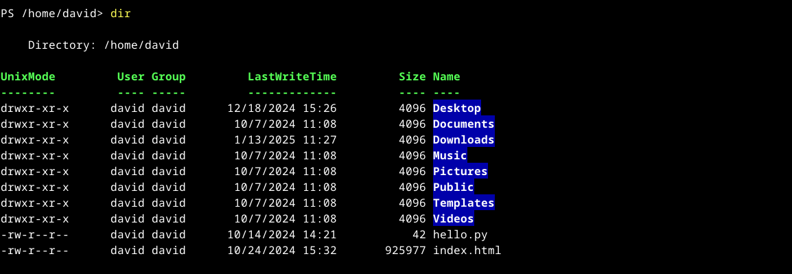 Output of the PowerShell "dir" command in Linux.