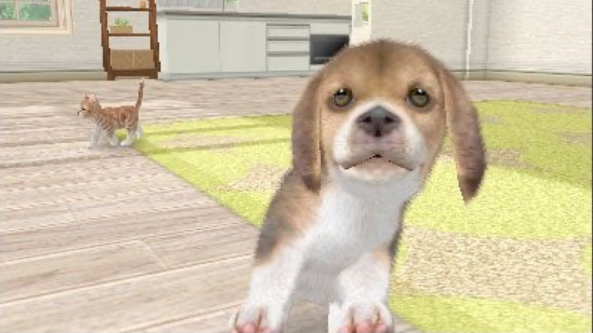 A dog and cat in a living room in Nintendogs.