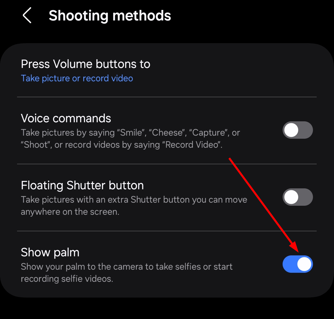 The 'Show Palm' option in the 'Shooting Methods' setting has been toggled on.