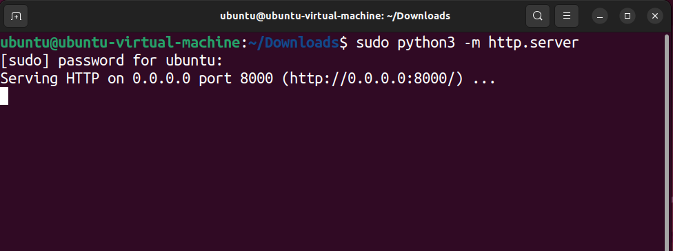 Terminal output showing the command sudo python3 -m http.server executed on an Ubuntu system.