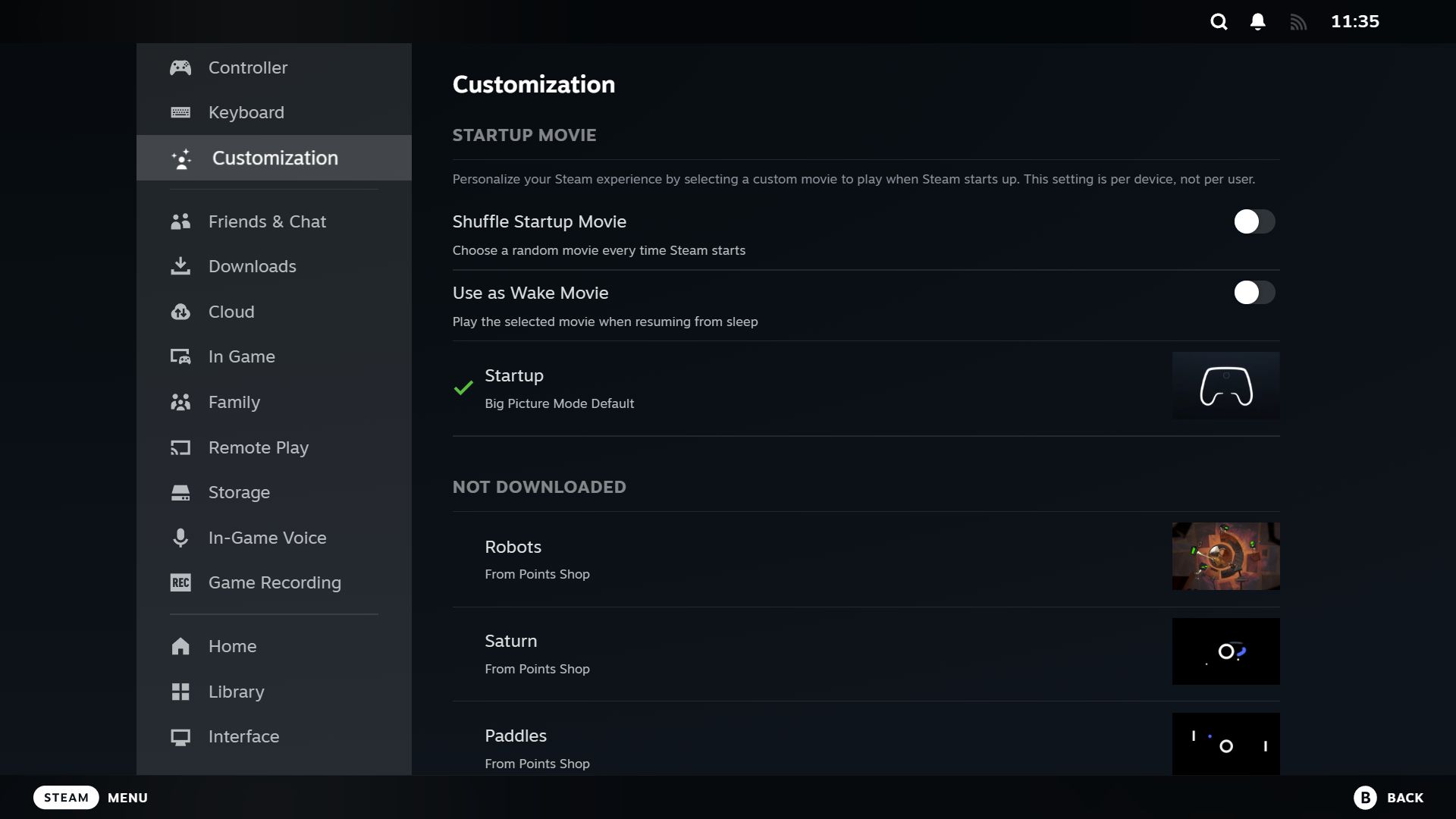 Steam Customization settings.