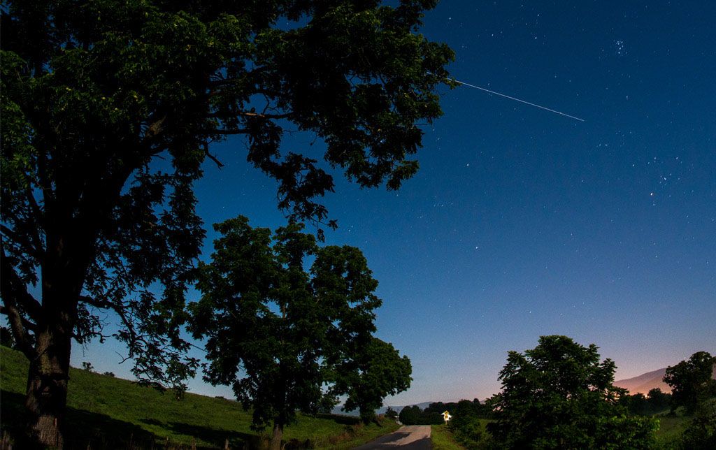 Trees in the foreground and a starry night sky in the background.