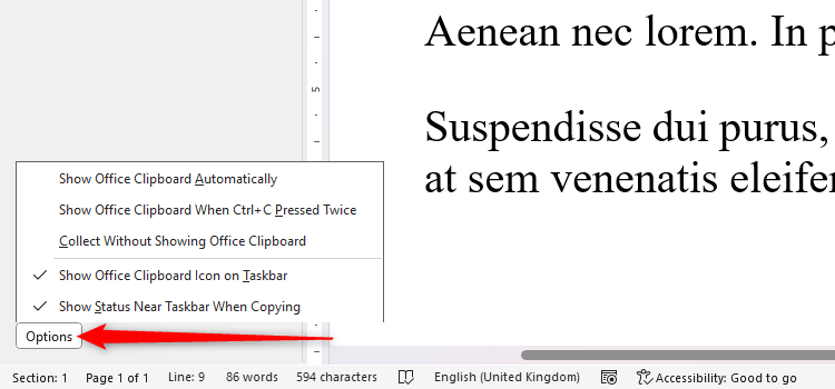 The Options menu at the bottom of Microsoft Word's clipboard pane is expanded to reveal the five clipboard personalization features.