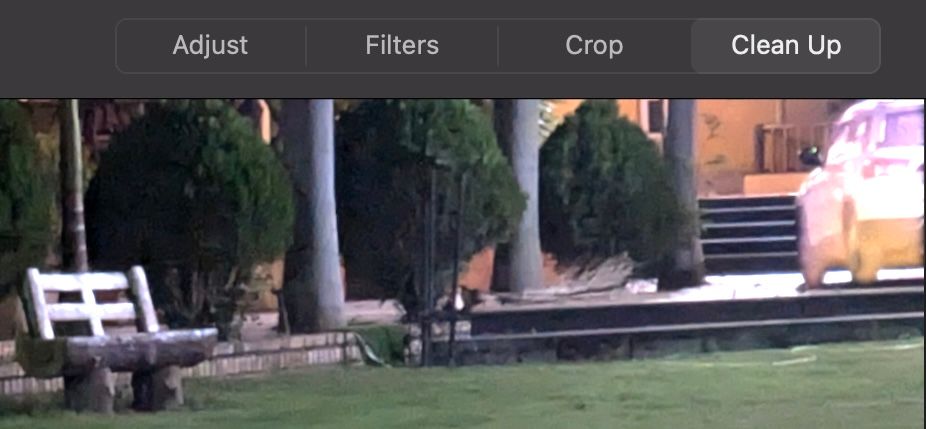 Clean Up tool in Photos app highlighting an element in a photo that can be removed.