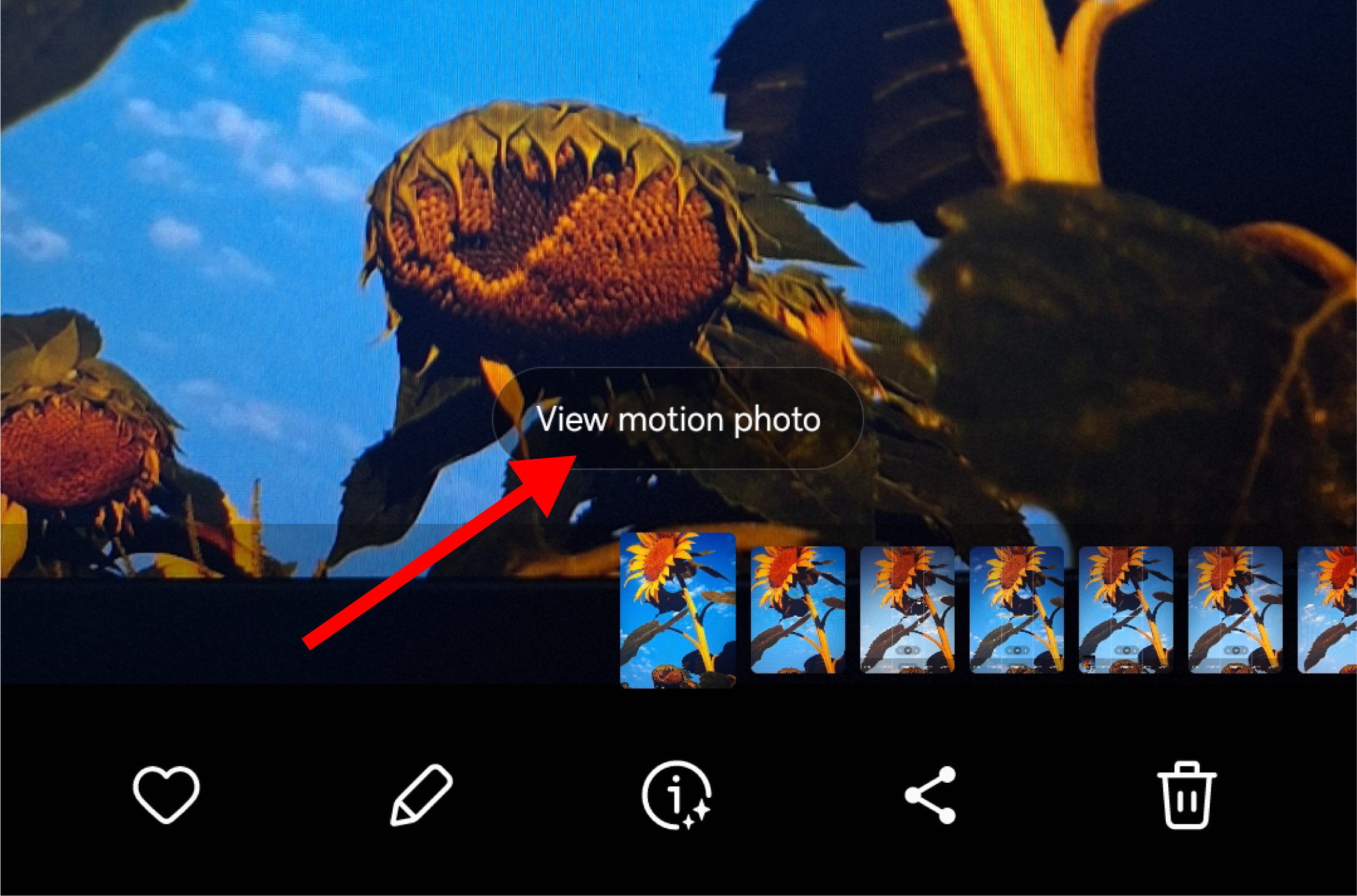 The 'View Motion Photo' button in the Gallery app.