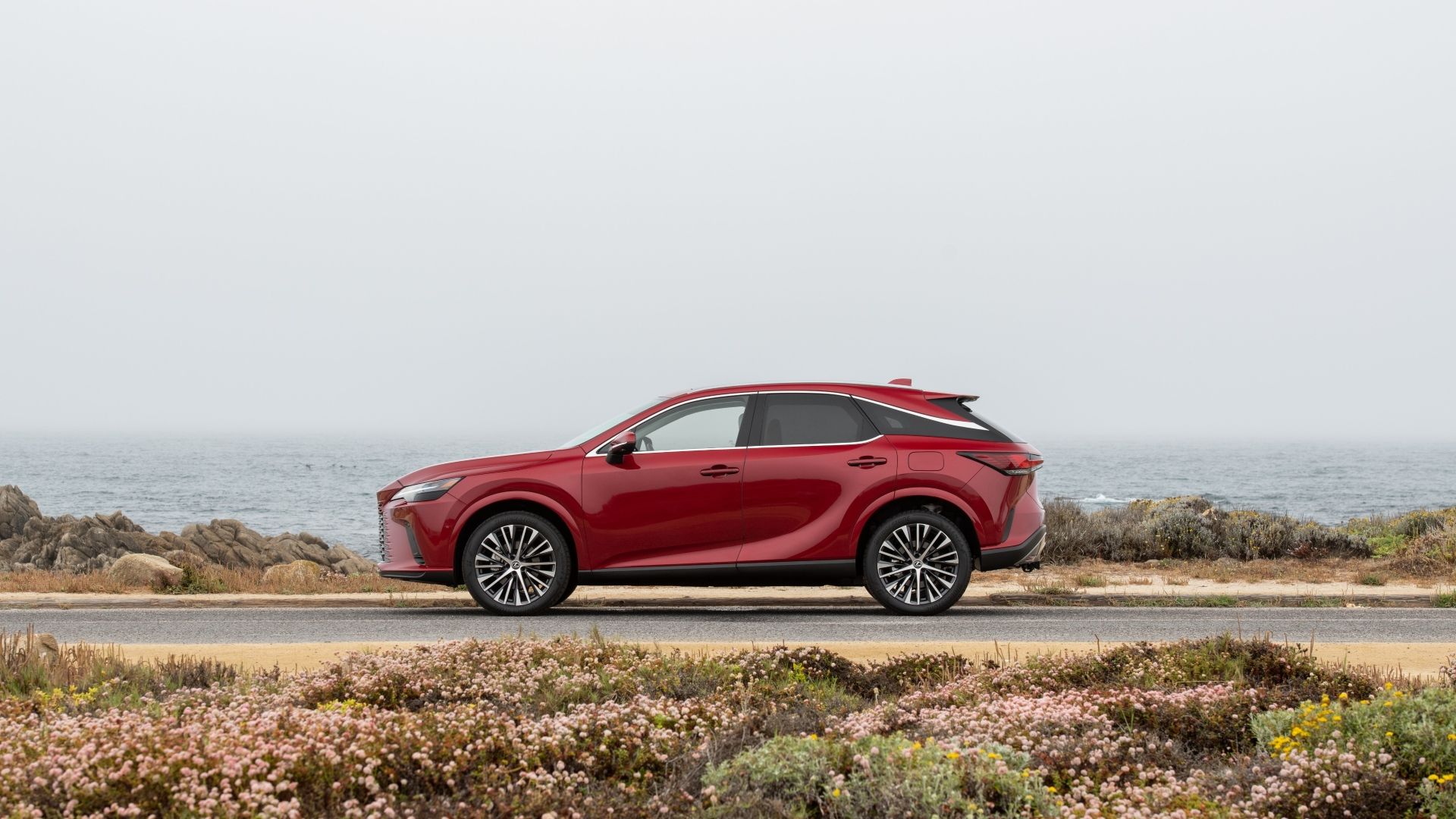 Side profile shot of a 2025 Lexus RX 350h 