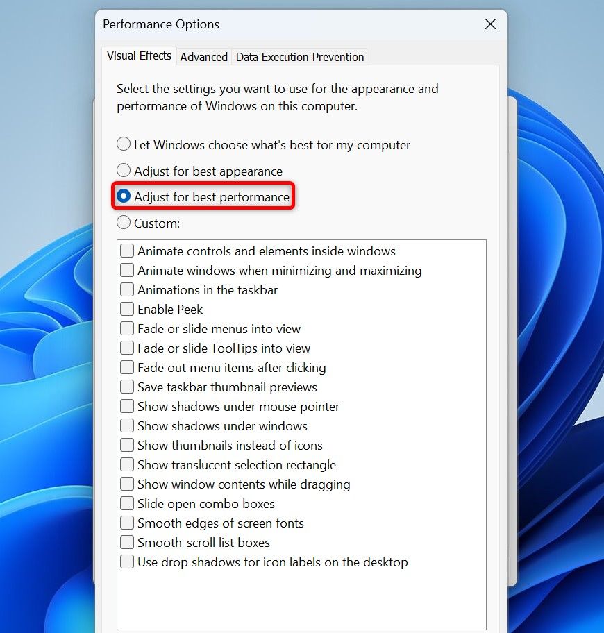 "Adjust for Best Performance" highlighted on the "Performance Options" window.