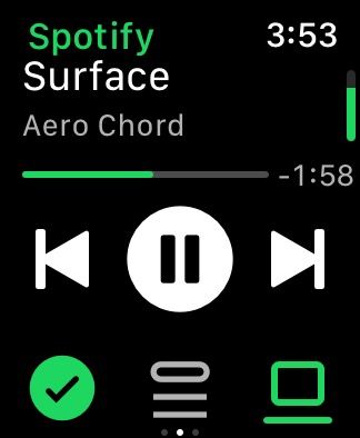 Volume slider in the Spotify app on an Apple Watch.