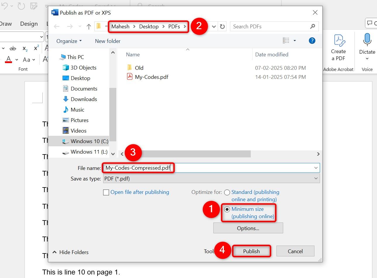 Various options highlighted on the "Publish as PDF or XPS" window in Microsoft Word.