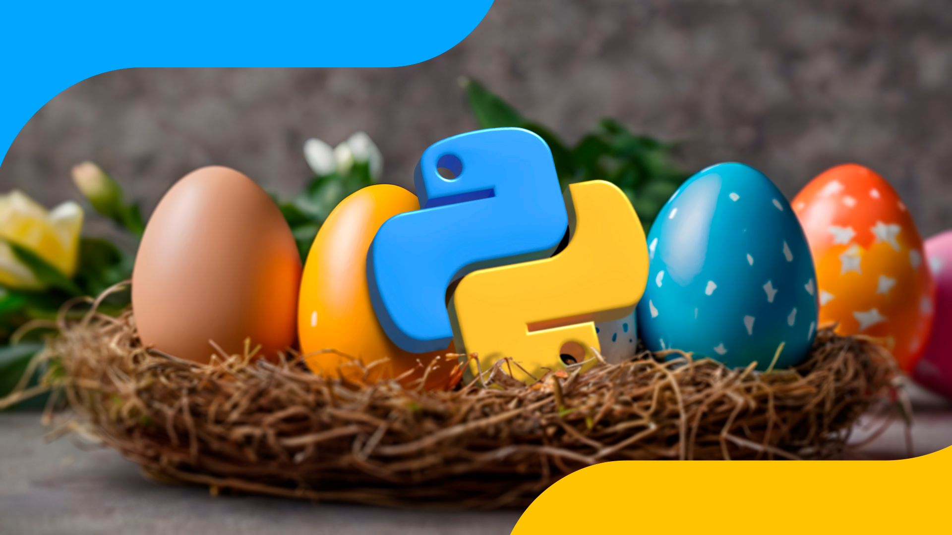 5 Python Easter Eggs That Make Learning Programming More Fun