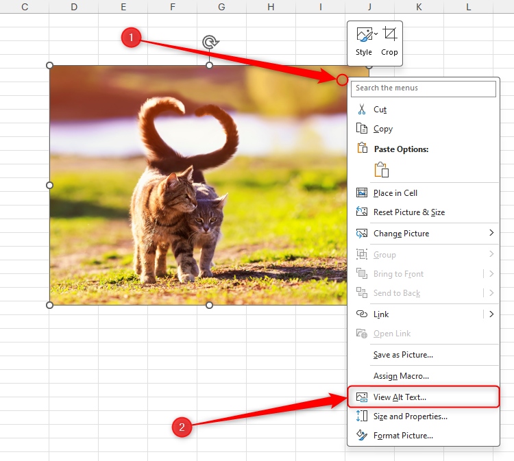 A Microsoft Excel sheet with an image's right-click menu opened, and View Alt Text selected.