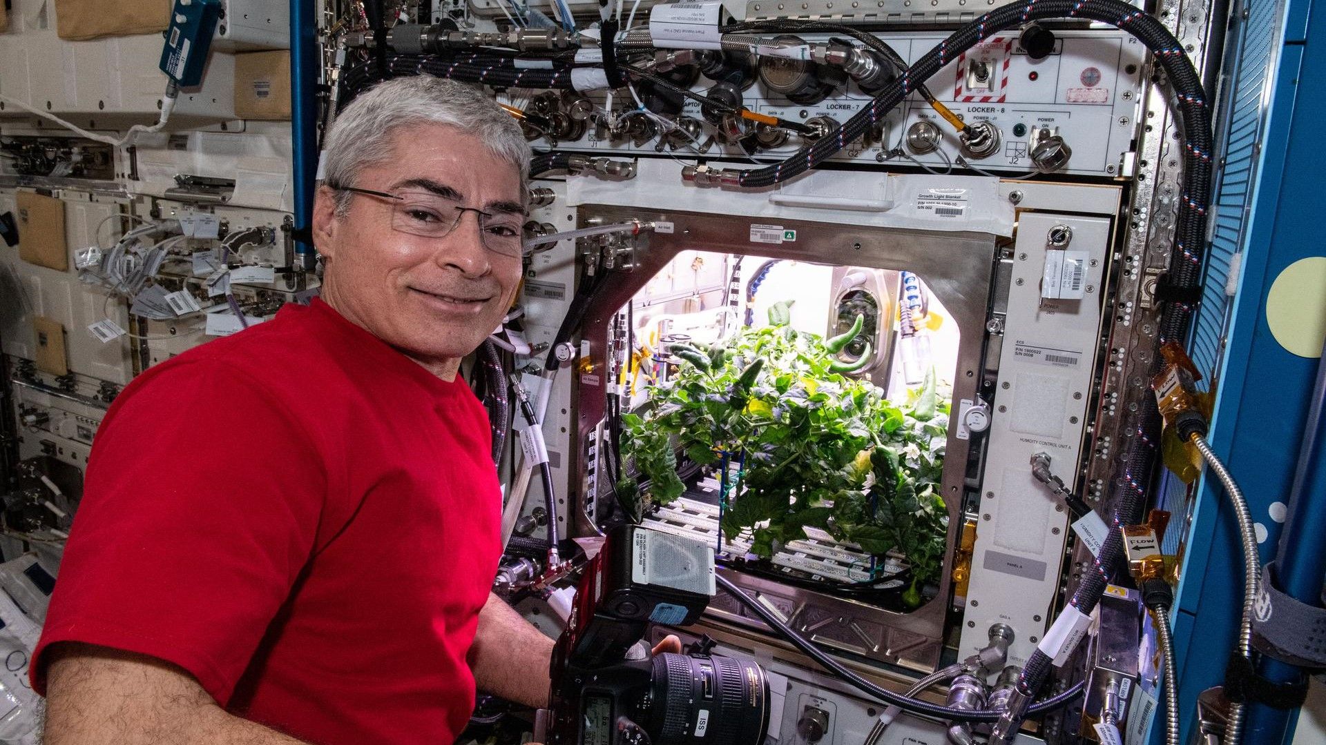 Even Astronauts Have to Eat Their Vegetables: How NASA Grows Plants in Space