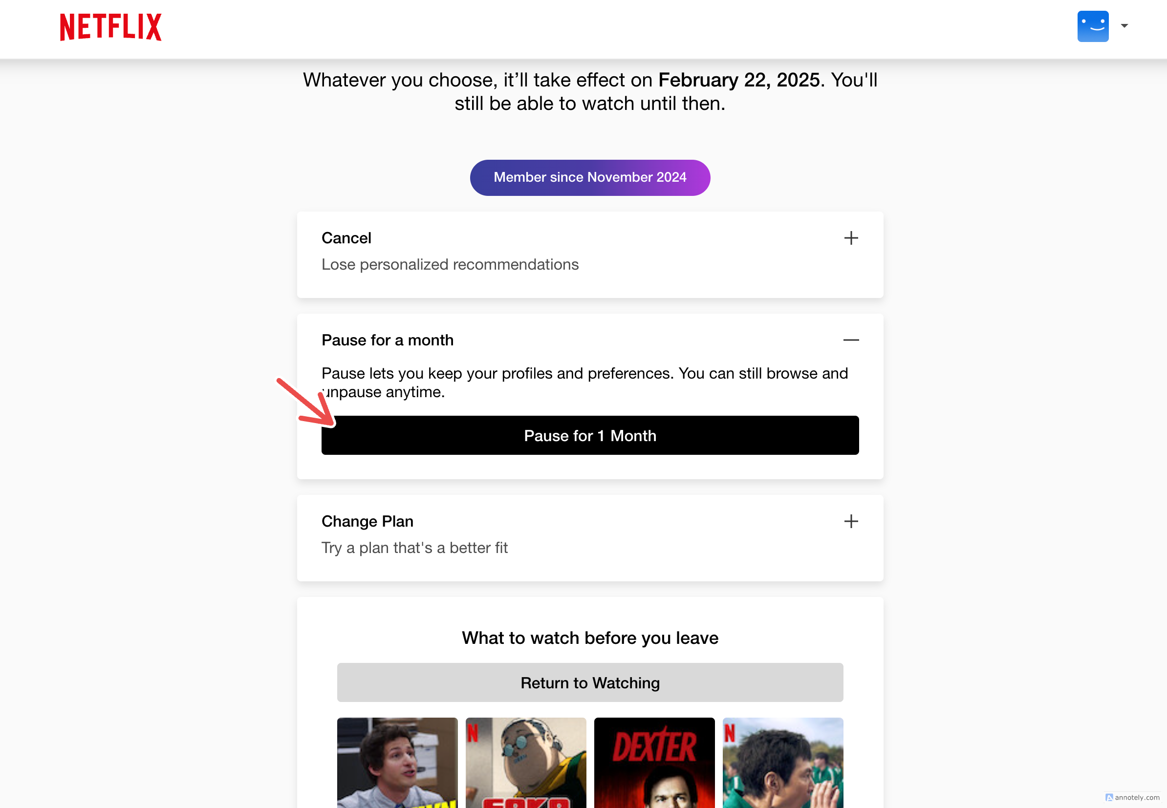 Pausing your membership on Netflix.