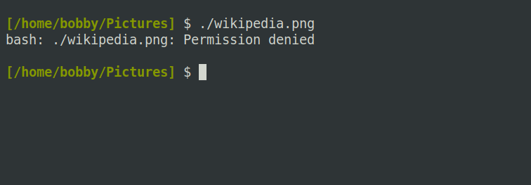 Trying to execute an image file produces a "Permission denied" error