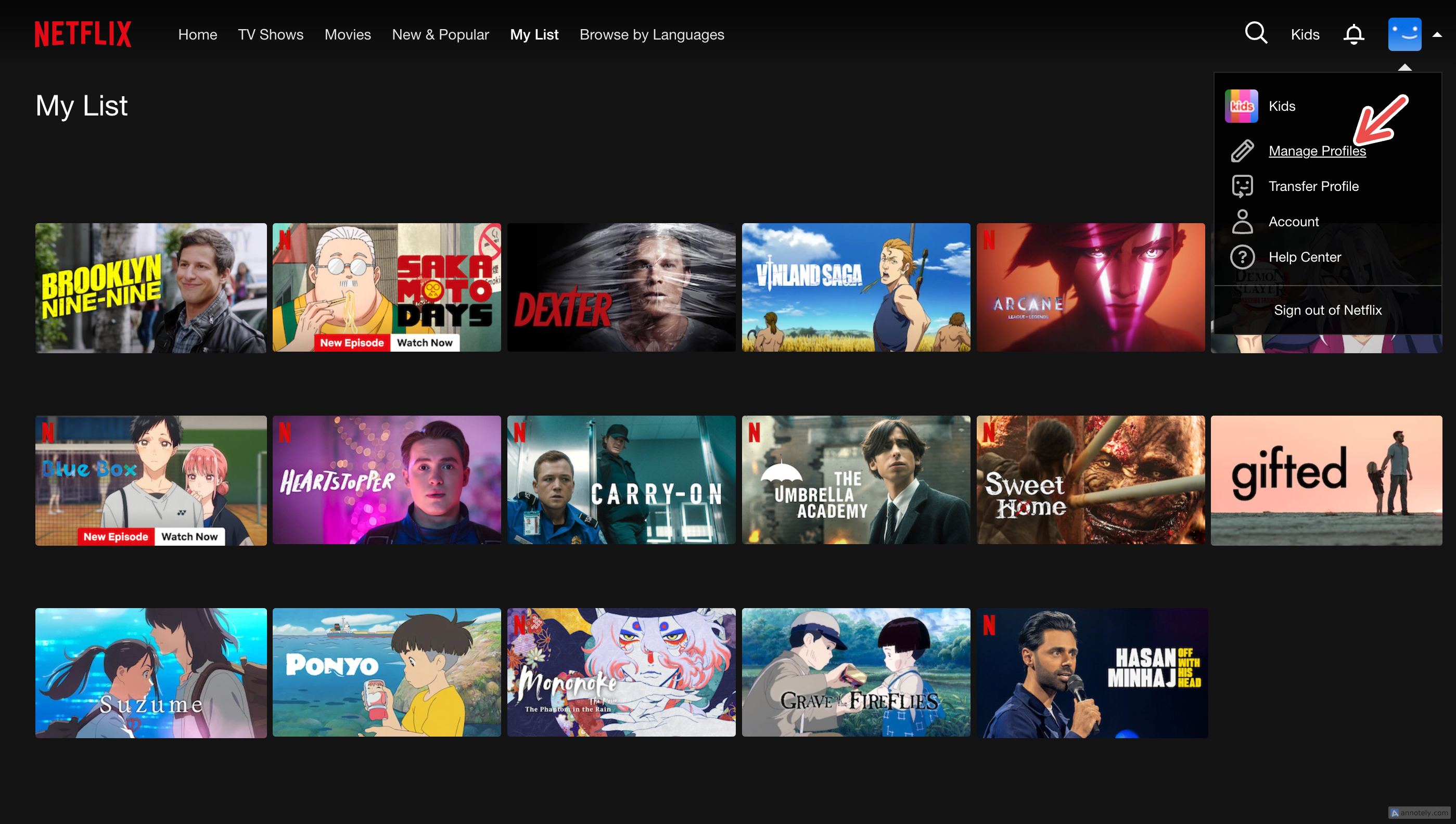 Managing your profile on Netflix on web browser.