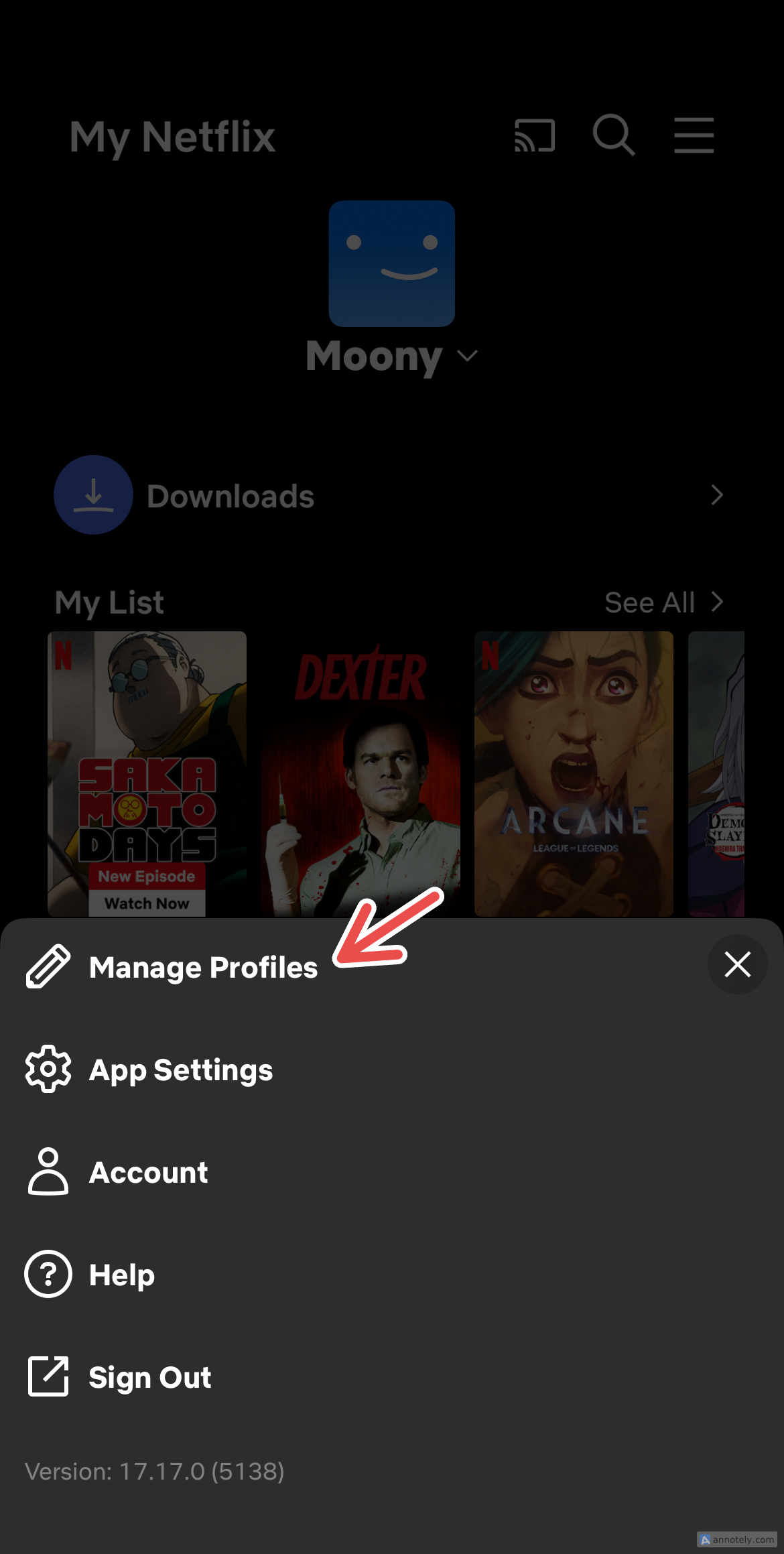 Adding a profile on Netflix on the mobile app.