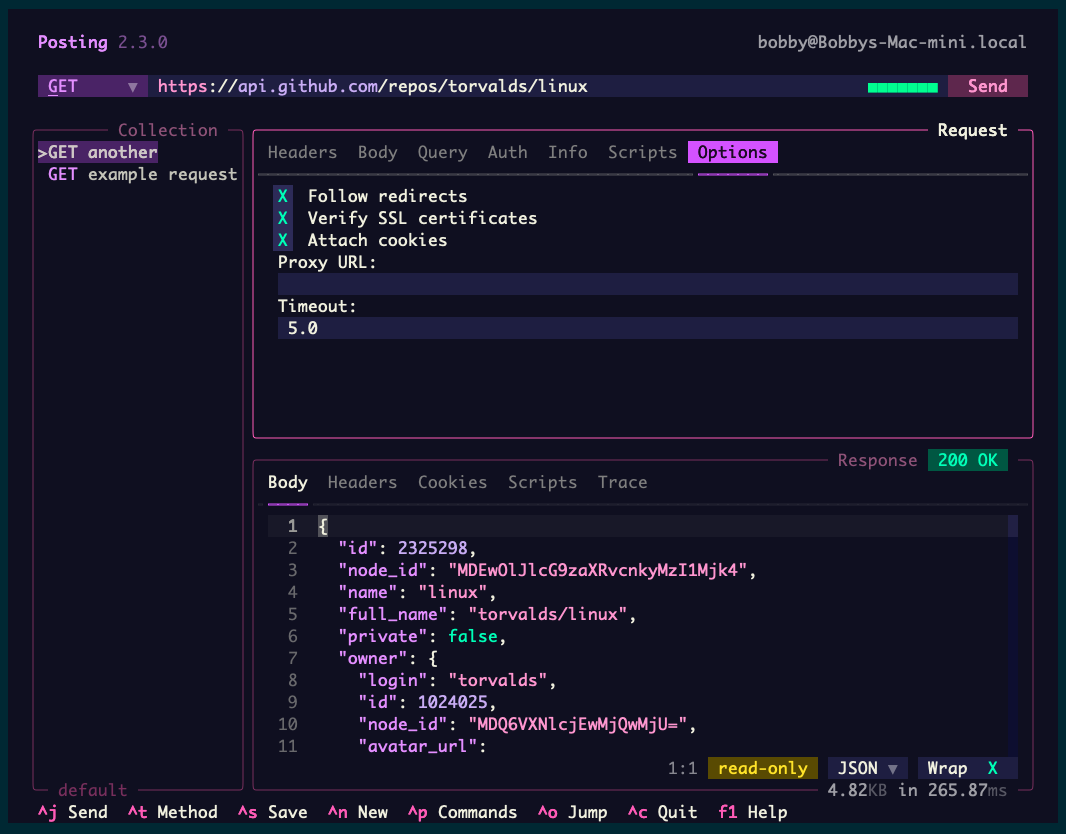 The Posting TUI app shows various settings to control an HTTP request and information about its response.