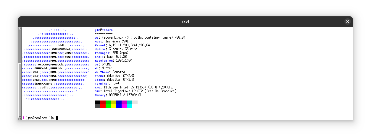 Rxvt terminal showing output from neofetch.