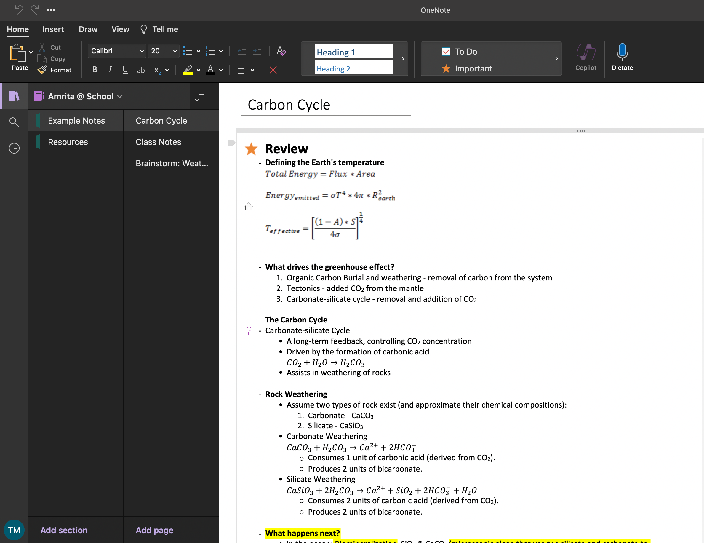 Microsoft OneNote's interface on the Mac desktop app.