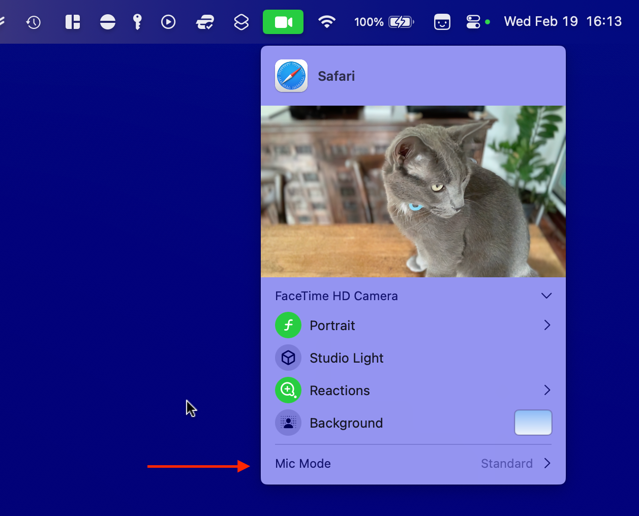 Roger the cat taking a webcam call with Microphone Mode settings highlighted.