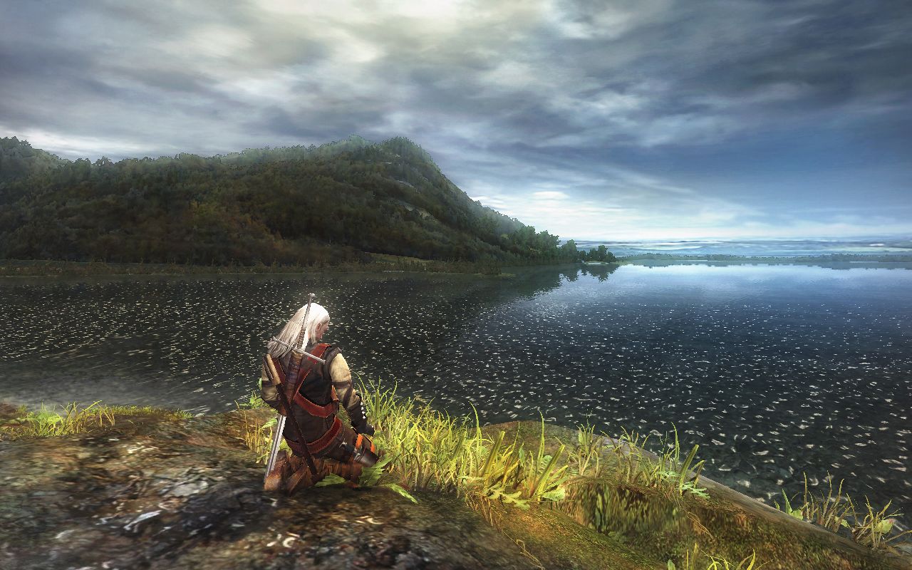 Steam screenshot of the first Witcher game.