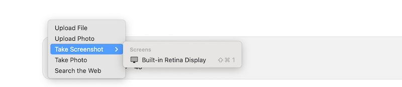 Take a Screenshot option in ChatGPT app on macOS.