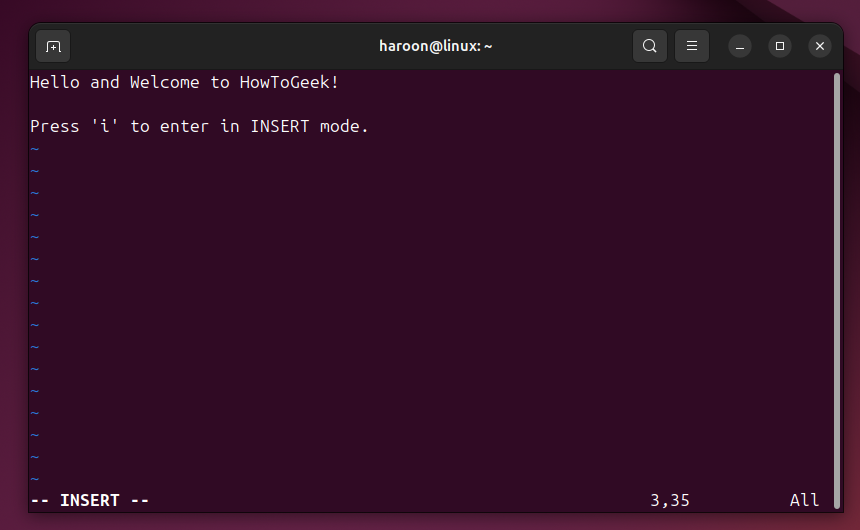 Text file open in Vim text editor in insert mode.