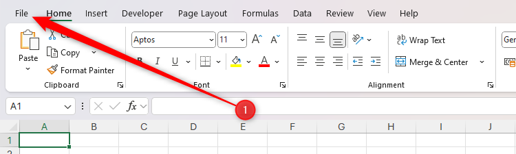 The File tab on the Microsoft Excel ribbon is selected.