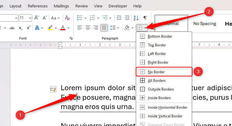 The No Border option in the Borders drop-down menu in Microsoft Word.