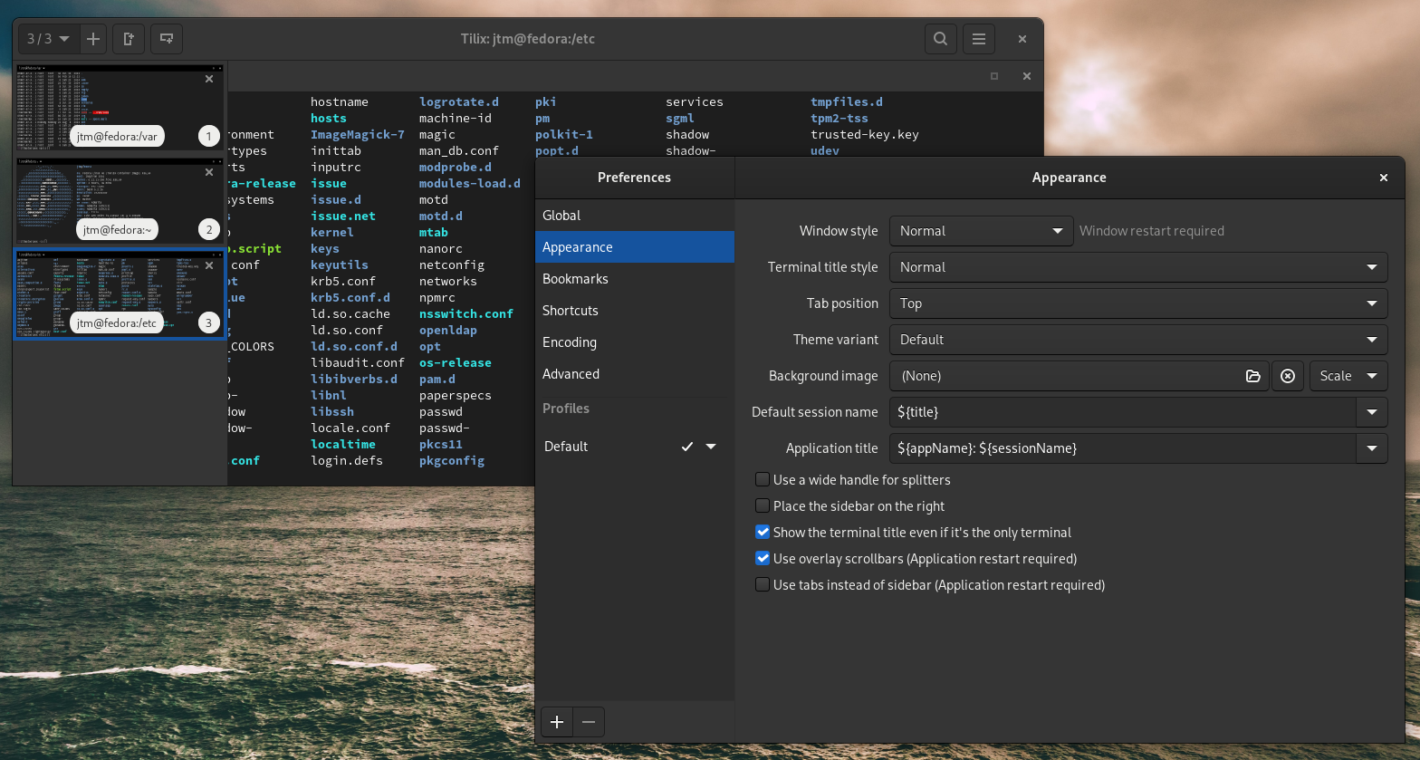 Tilix terminal showing appearance and theme options.